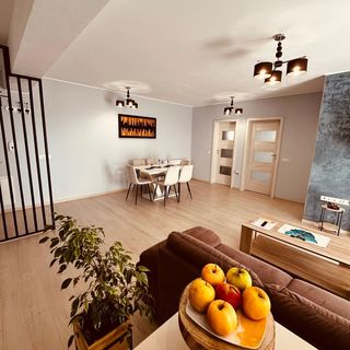 TED'S Residence Sibiu (4)