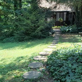 Vadvirág Vendégház Surány Pócsmegyer (5)