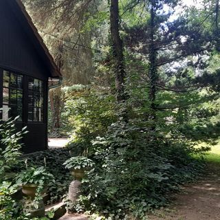 Vadvirág Vendégház Surány Pócsmegyer (3)