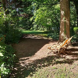 Vadvirág Vendégház Surány Pócsmegyer (4)