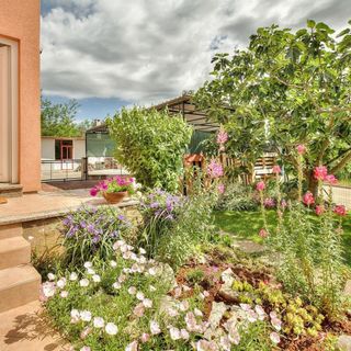 Apartman Begović Murine (5)