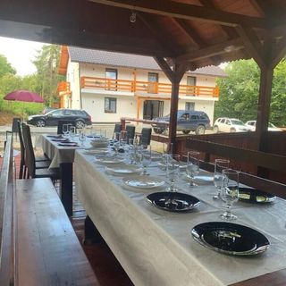 Pensiunea Teodora Moisei (2)