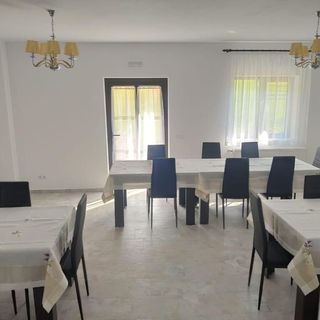 Pensiunea Teodora Moisei (4)