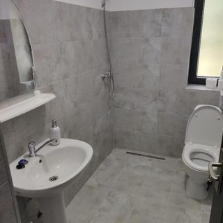 Pensiunea Teodora Moisei (5)