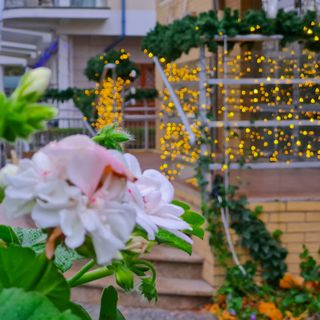 visit baltic - Apartament Nautilus 310 Świnoujście (4)