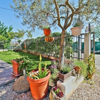 Apartmani Lorena Umag (5)