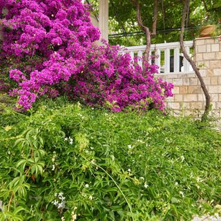 Apartments Hansal Saplunara (5)