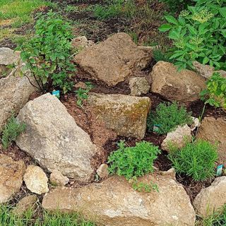 Vándor Kakas Vendégház Recsk (5)