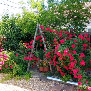 Vándor Kakas Vendégház Recsk (5)