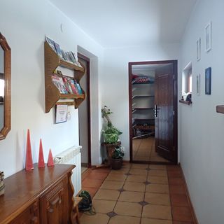 Natura Bukowina Tatrzańska (4)