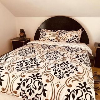 Vila Ekooos Brașov (4)