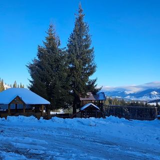 Cabana Măgura Punct Gastronomic Local Poiana Negrii (2)