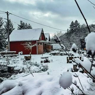 Domki w Zacisznej Zagrodzie (5)