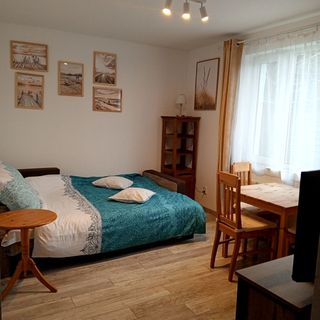 Saga 3-4 osobowy Apartament Recław  (3)