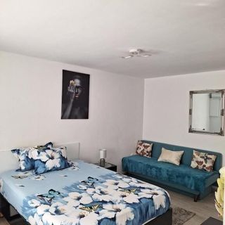 Apartament Iris Băile Herculane (2)