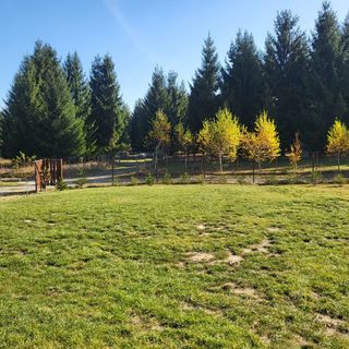 Casa de oaspeți Tamás Sâncel (5)