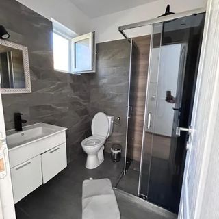 Casa Irinei Poiana Mărului (3)