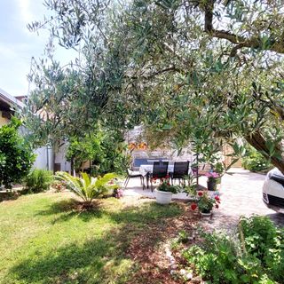 Apartmani Mara Umag (5)