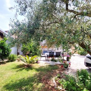 Apartmani Mara Umag (5)