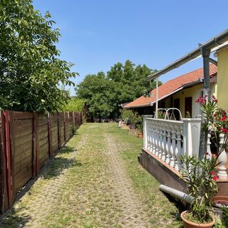 Tahiti Apartman Hajdúszoboszló (3)