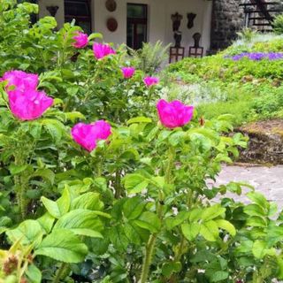 Pensjonat Dom Tatry (3)