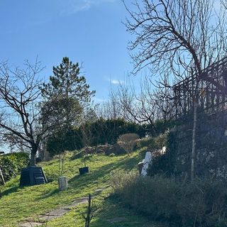 Apartman Buzet - CIS355 (3)