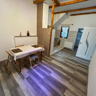 Casa Olivia Bușteni (5)