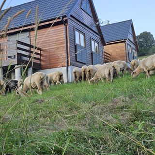 Domek całoroczny Nad Cicha Soblówka (5)