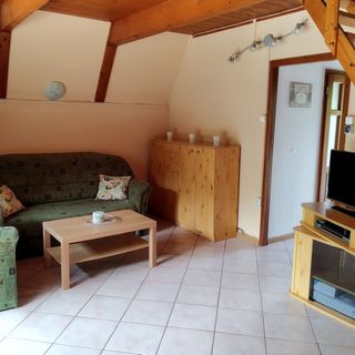 Diófasor Nyaraló Balatonvilágos (5)