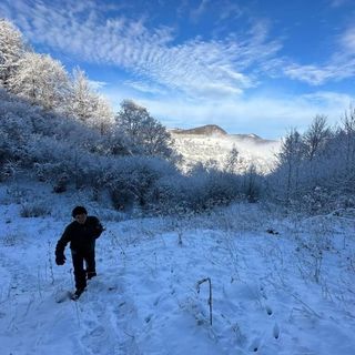 Casuță de sub munte Lopătari (2)