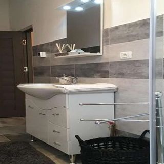 Apartament Milan House Arad (4)