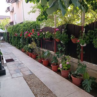 Casa Minel Mamaia Nord (4)