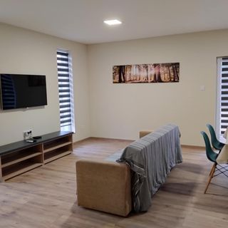 Forest Apartman Nyíregyháza (5)