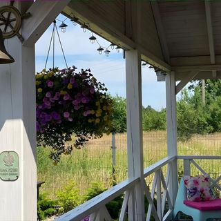 Siedlisko Wytowno (3)