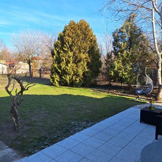 Kökénykuckó Apartman Szeged (3)