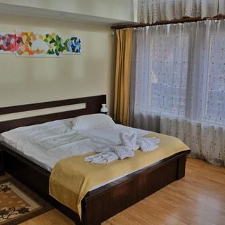 Pensiunea Căprioara Bușteni (5)