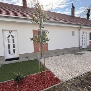 KukoriQ 1 Apartman Siklós (4)