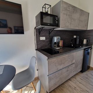 Relax Vila Lipno- moderní byt u pláže Windy Point (5)