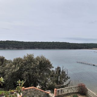 Apartment Vidas Palit (5)