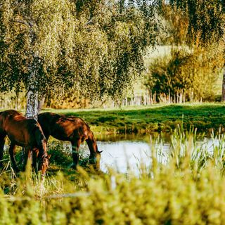 Vendégház Kwidzyn - PKA933 (4)