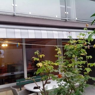 House Marus Omis (3)