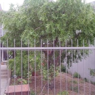 House Marus Omis (5)