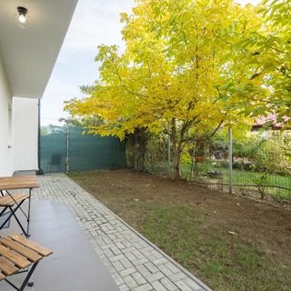 Vila 2 Măgurele (2)