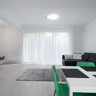 Vila 2 Măgurele (3)