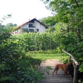 Erdőalja Vendégház Padlástér Jásd (2)