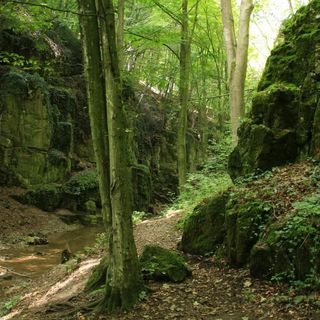 Erdőalja Vendégház Padlástér Jásd (5)