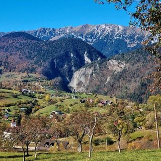 Pensiunea Mosorel Măgura (4)