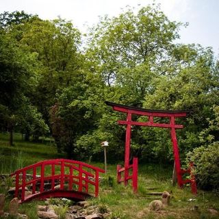 Casa Lily-Japanese Retreat Sighișoara (5)