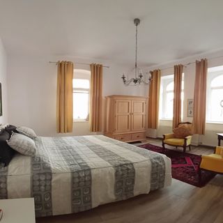 Pensiunea Phonix Sighisoara (3)