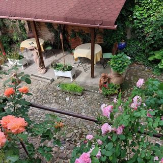 Pensiunea Phonix Sighisoara (5)